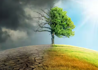 What Future Awaits If We Ignore the Environment?